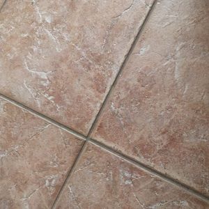 Meet your Posher, Mojgan